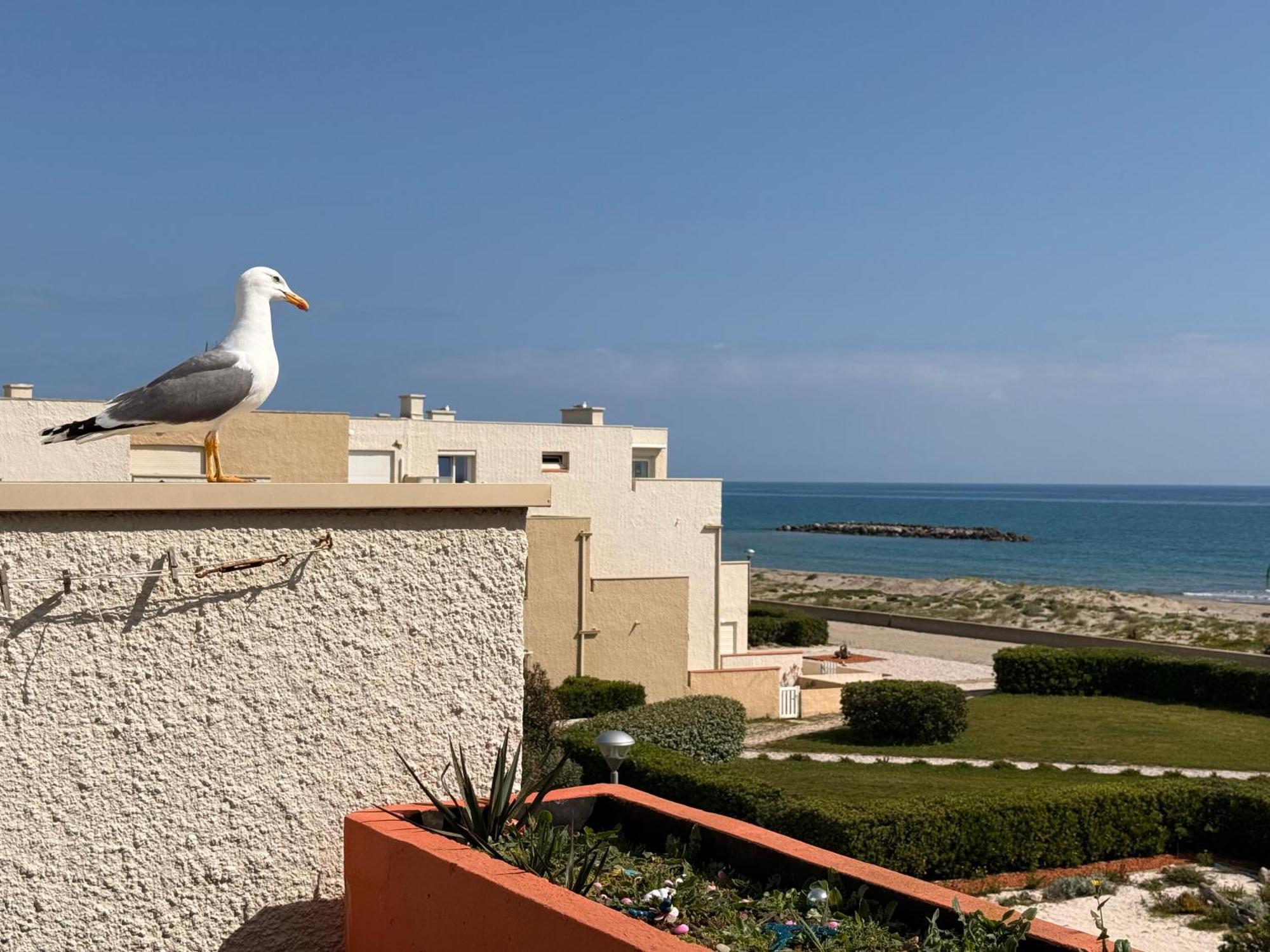 Le Paradis Bleu- Front De Mer - Travaux Recents Le Barcares Exterior photo